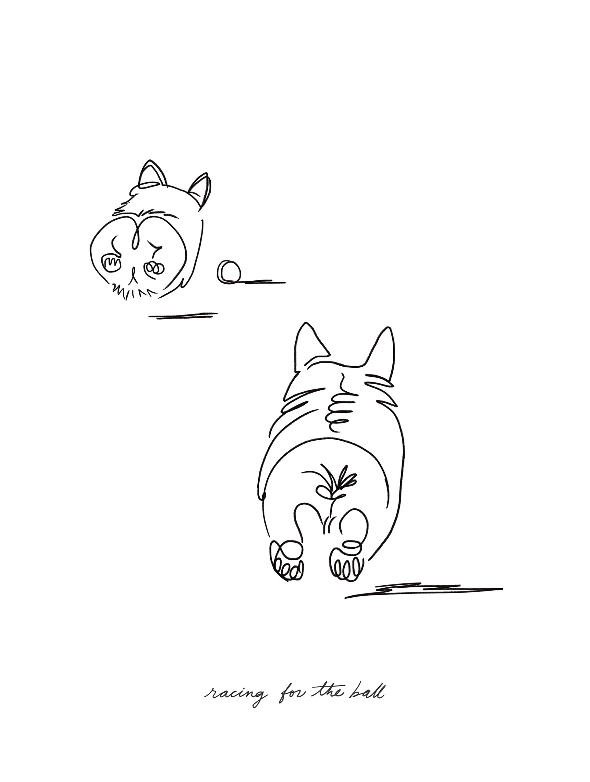 Dogs_FinalArt_Racing