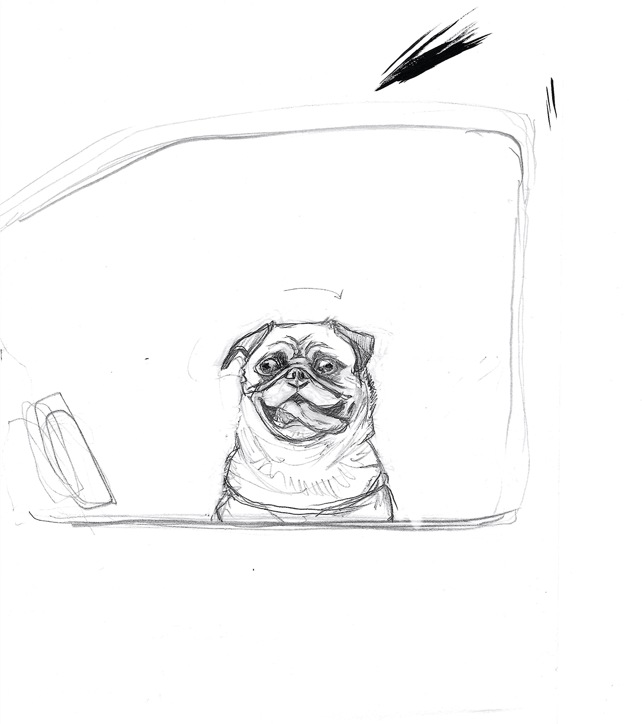 pug_aboard3